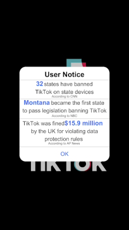 TikTok, the clock is running out: Social media app poses potential safety risks