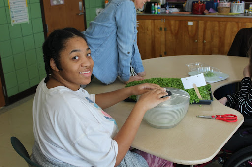 SEED TO SALE | After the microgreens were fully grown, the class washed, dried and packaged them to prepare them for delivery. Senior Aijalon Fernanders delivered the plants to a variety of different people around the community. “We packaged and delivered them,” Fernanders said. “We went around and said ‘do you want this, do you want that,’ and they would pay for them.”
