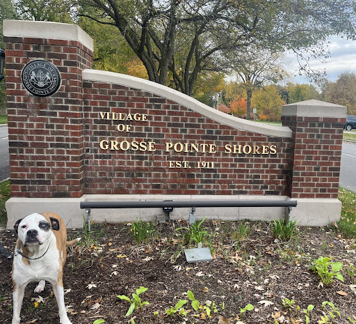 Gone with the ruff: Pitbull ban in Grosse Pointe Shores
