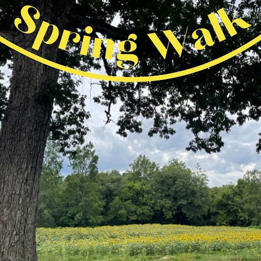(Playlist) Spring Walk